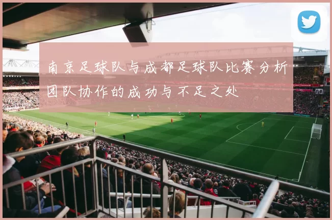 南京足球队与成都足球队比赛分析团队协作的成功与不足之处