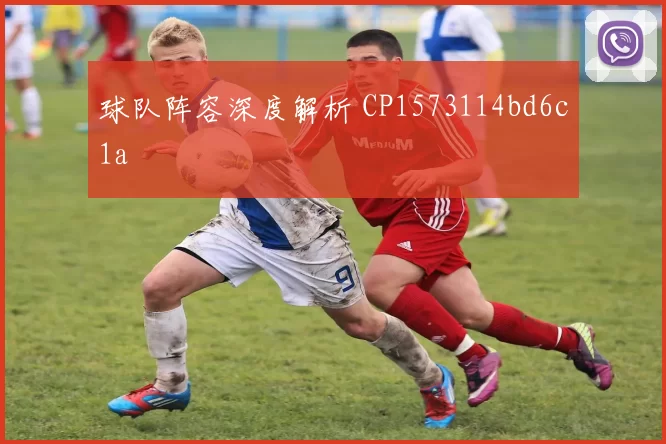 球队阵容深度解析 CP1573114bd6c1a