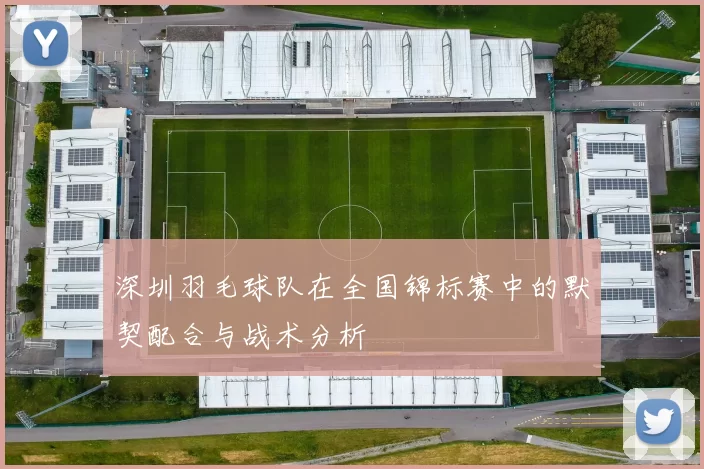 深圳羽毛球队在全国锦标赛中的默契配合与战术分析