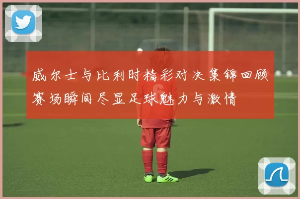 威尔士与比利时精彩对决集锦回顾赛场瞬间尽显足球魅力与激情