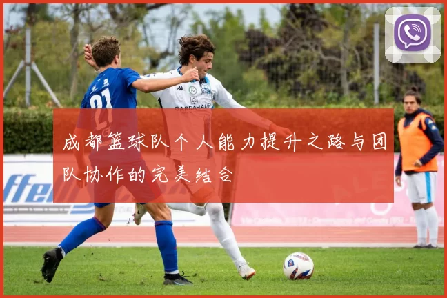 成都篮球队个人能力提升之路与团队协作的完美结合