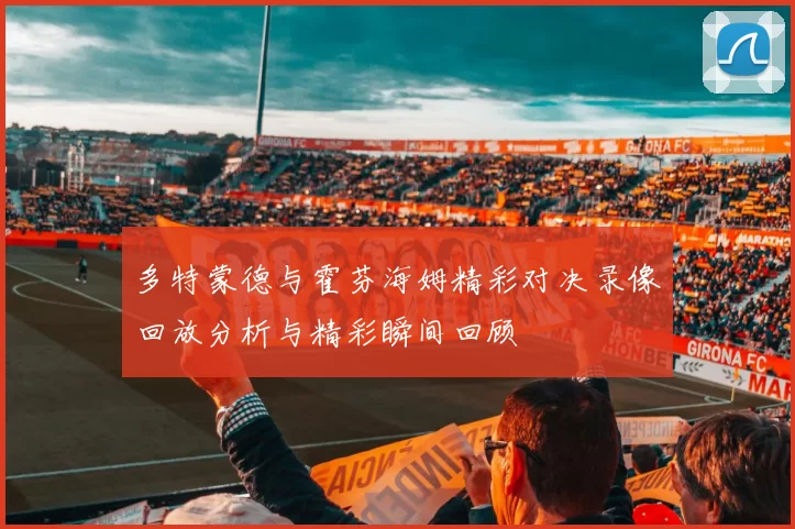 多特蒙德与霍芬海姆精彩对决录像回放分析与精彩瞬间回顾
