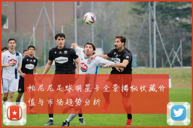 帕尼尼足球明星卡全景揭秘收藏价值与市场趋势分析