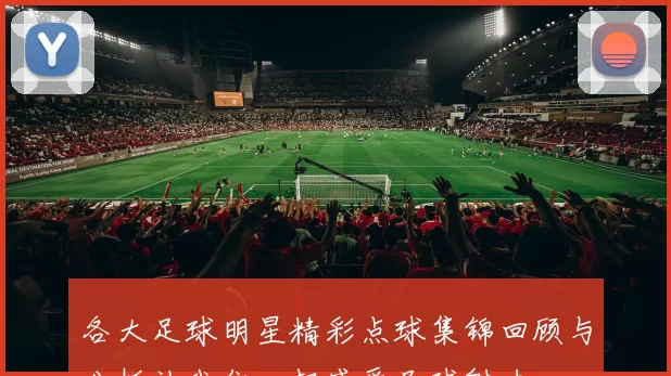 各大足球明星精彩点球集锦回顾与分析让我们一起感受足球魅力