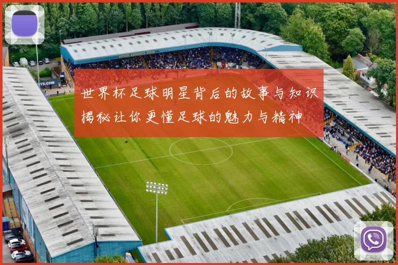 世界杯足球明星背后的故事与知识揭秘让你更懂足球的魅力与精神