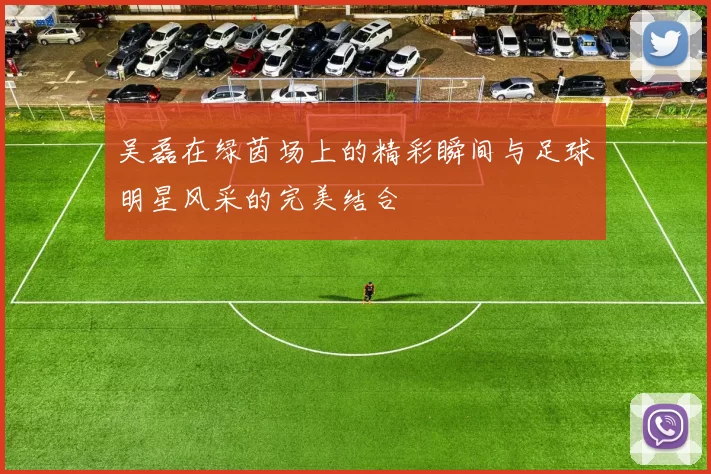 吴磊在绿茵场上的精彩瞬间与足球明星风采的完美结合
