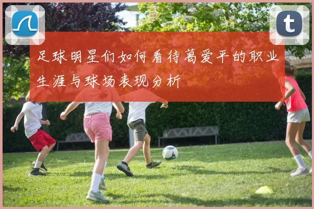 足球明星们如何看待葛爱平的职业生涯与球场表现分析