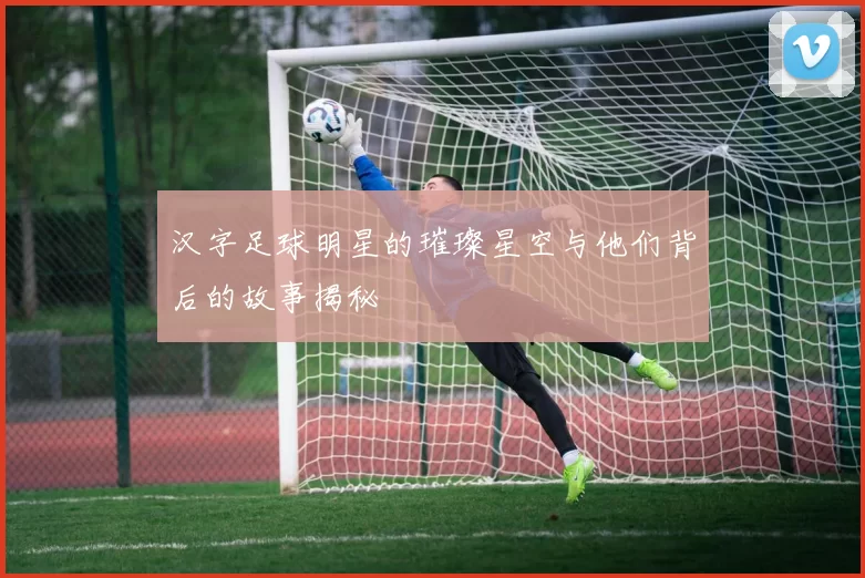 汉字足球明星的璀璨星空与他们背后的故事揭秘