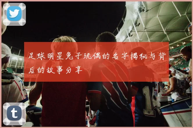 足球明星兔子玩偶的名字揭秘与背后的故事分享