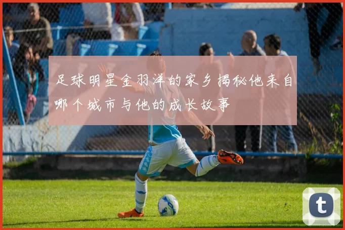 足球明星金羽洋的家乡揭秘他来自哪个城市与他的成长故事