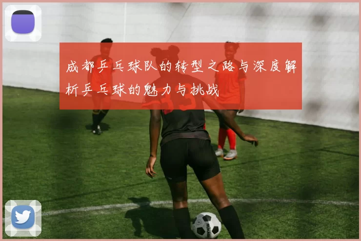 成都乒乓球队的转型之路与深度解析乒乓球的魅力与挑战
