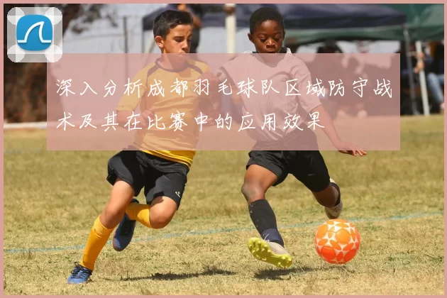 深入分析成都羽毛球队区域防守战术及其在比赛中的应用效果