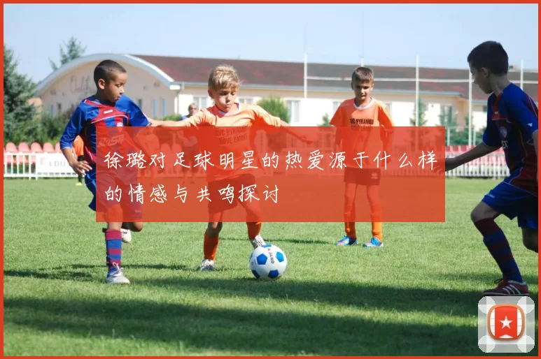 徐璐对足球明星的热爱源于什么样的情感与共鸣探讨